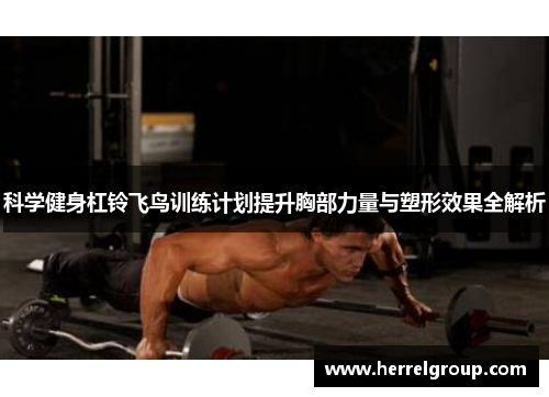 科学健身杠铃飞鸟训练计划提升胸部力量与塑形效果全解析
