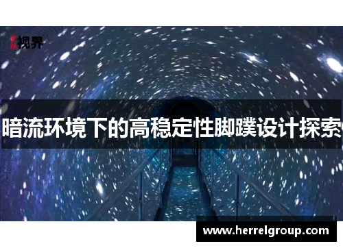 暗流环境下的高稳定性脚蹼设计探索