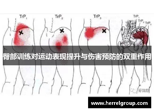 臀部训练对运动表现提升与伤害预防的双重作用