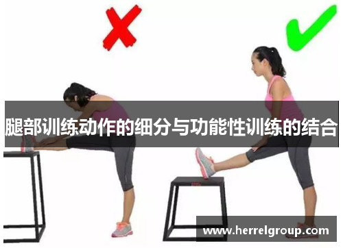 腿部训练动作的细分与功能性训练的结合